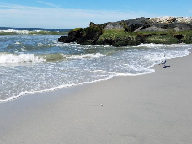 Shoreline with waves on the beach and rock jetty