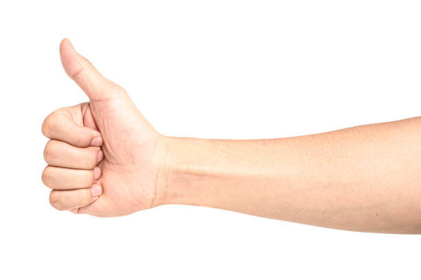 istock hand showing thumbs up sign 1200848062
