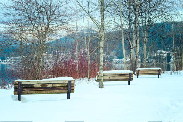 Winter Wonderland