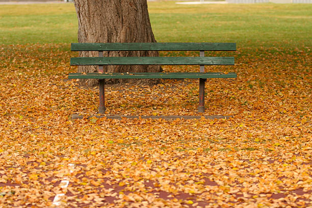 Banco de Parque no outono - fotografia de stock