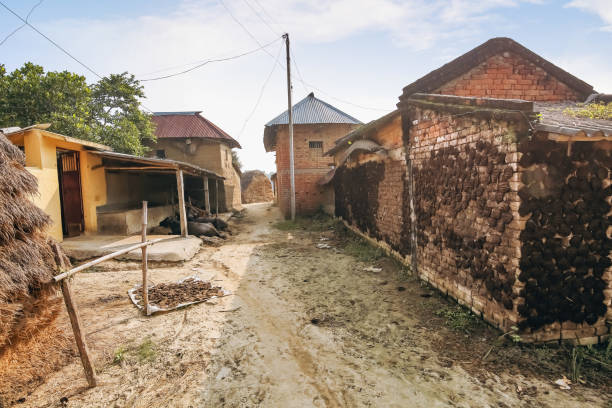 Rural Indian village with view of residential houses and unpaved village road Rural Indian village at Bolpur West Bengal with view of brick houses and unpaved village road with cow dung on the wall mud hen stock pictures, royalty-free photos & images