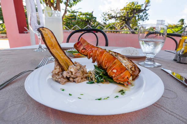 istock Grilled lobster is beautifully placed on a plate along with a side dish of mashed potatoes, fried banana, vegetables, rice and a glass of cocktail. Expensive dinner at a restaurant outdoor 1200871026