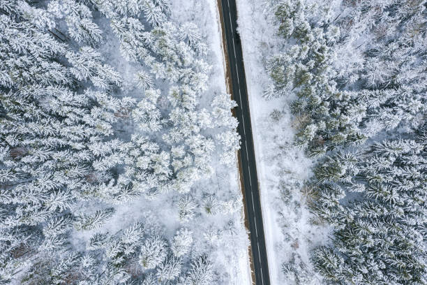 istock asphalt road in forest. pine trees in forest covered with snow. winter landscape 1200871090