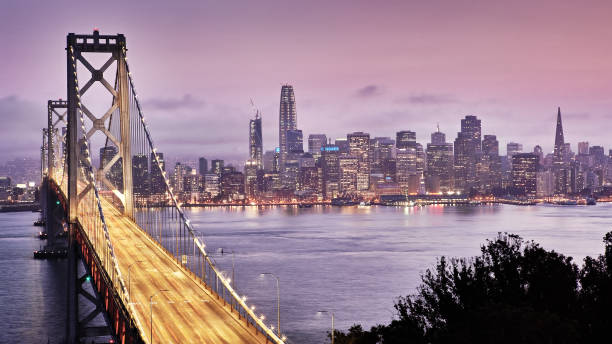 distrito financiero de san francisco. puente. árbol. hora de la puesta de sol. - san francisco county skyline panoramic night fotografías e imágenes de stock