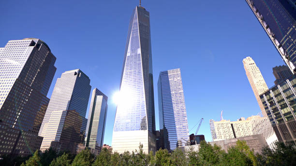 istock Manhattan Skyline. Tree. Conceptual View of Financial District 1200879711