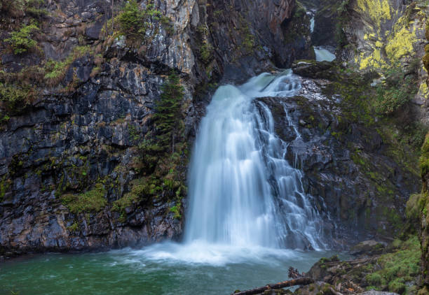 istock Reinbach waterfall in Ahrntal valley 1200881946