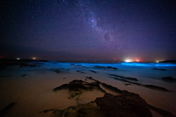 istock Bioluminescent algae glowing and sparkling in ocean waves 1200883825