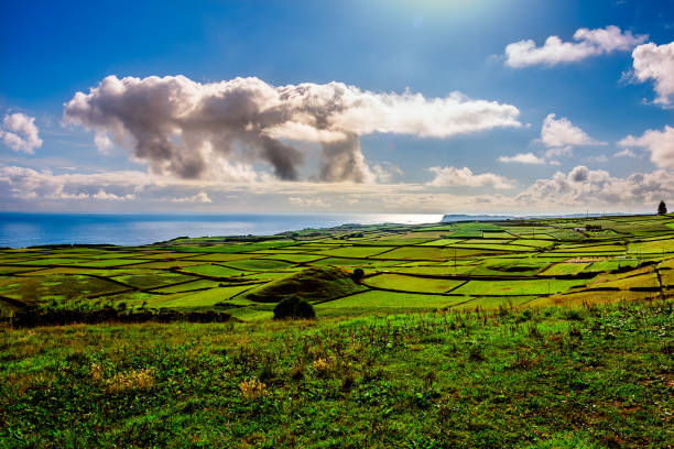 landscape in terceira view of the green landscape in terceira, azores, portugal. terceira azores stock pictures, royalty-free photos & images