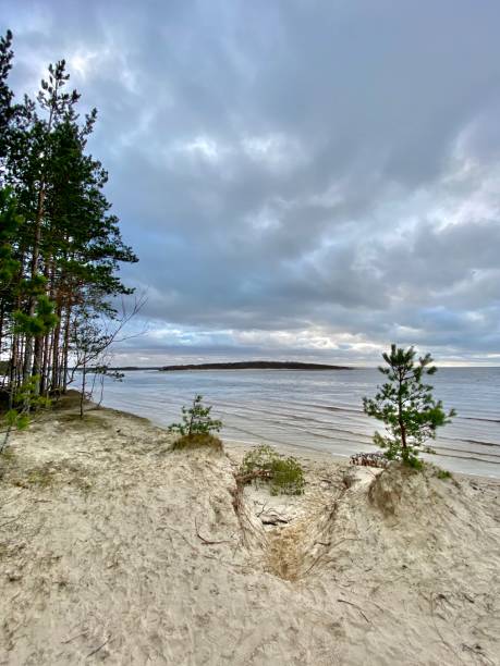 istock Baltic Sea autumn coast beach Bolderaja Riga Latvia 1200888411