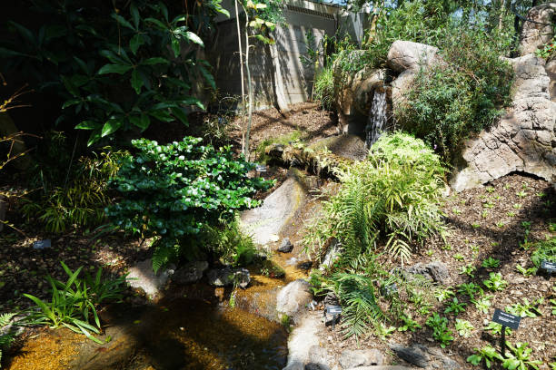 istock Natural rocky waterfall in rainforest park 1200889896