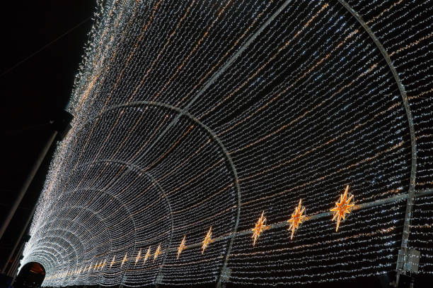 LED Light Tunnel - Christmas and New Year Decoration