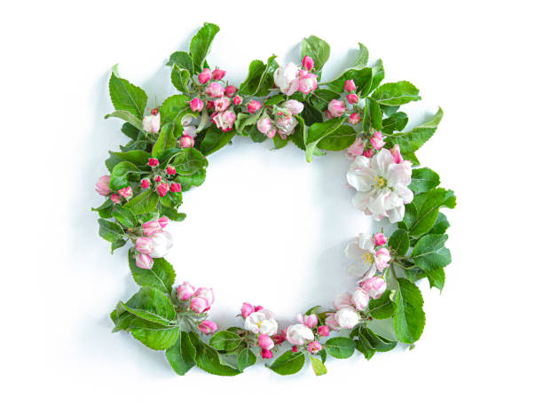istock Floral round wreath with apple blossom  isolated on white background. 1200892301