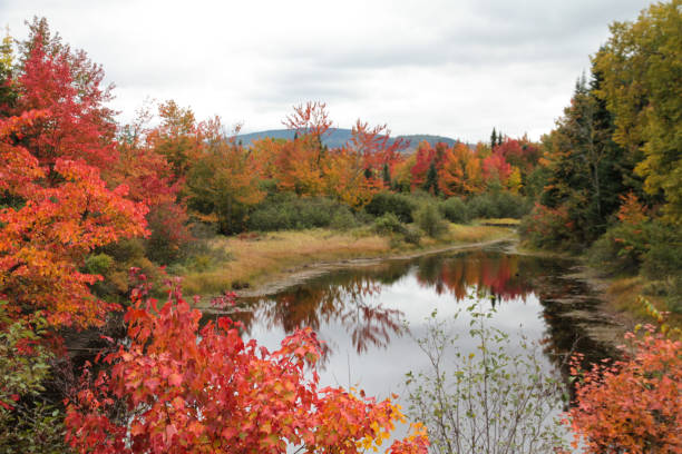 Moosehead Lake is the largest mountain lake in the eastern United States