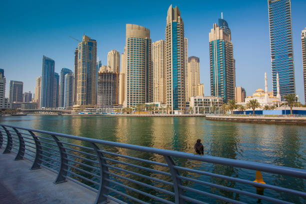 istock cute bird standing on a fence in Dubai 1200896411