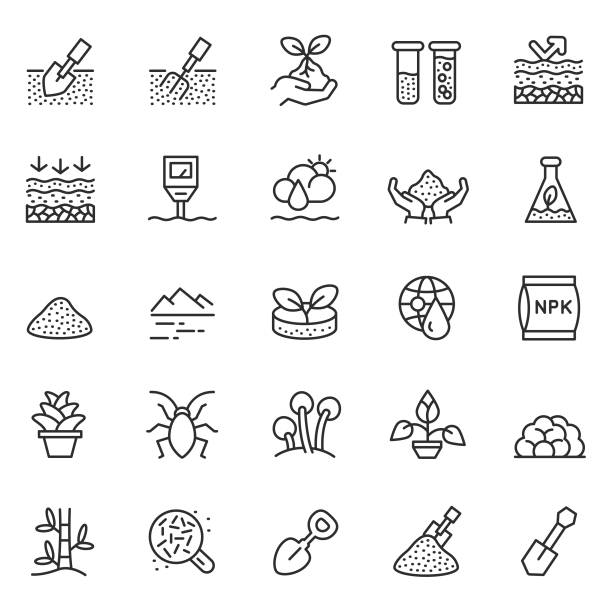 illustrazioni stock, clip art, cartoni animati e icone di tendenza di set di icone del vettore suolo - gardening shovel trowel flower