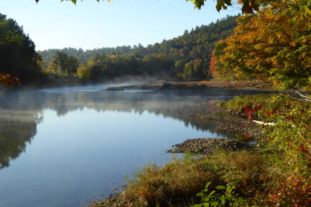 istock White Mountain National Forest, United States 1200897644