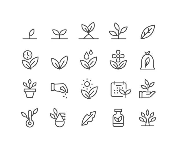 ilustraciones, imágenes clip art, dibujos animados e iconos de stock de iconos de plantas - classic line series - leaves