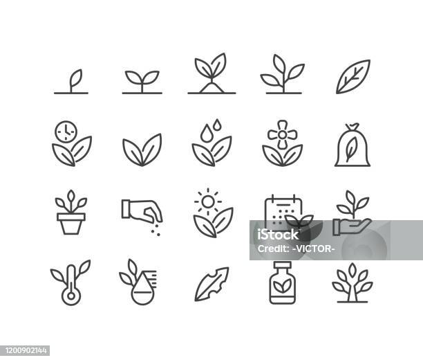 Plants Icons Classic Line Series - Arte vetorial de stock e mais imagens de Ícone - Ícone, Flora, Folha