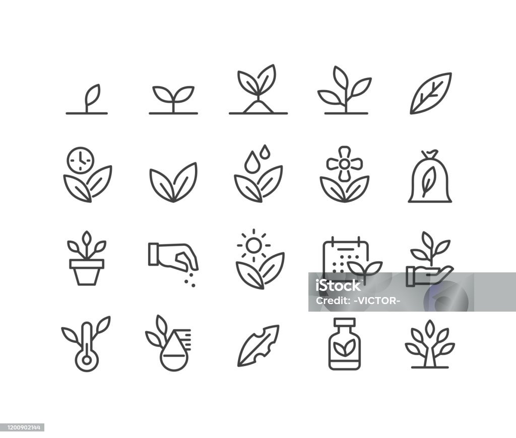 Иконки растений - Классическая серия линий - Векторная графика Иконка роялти-фри