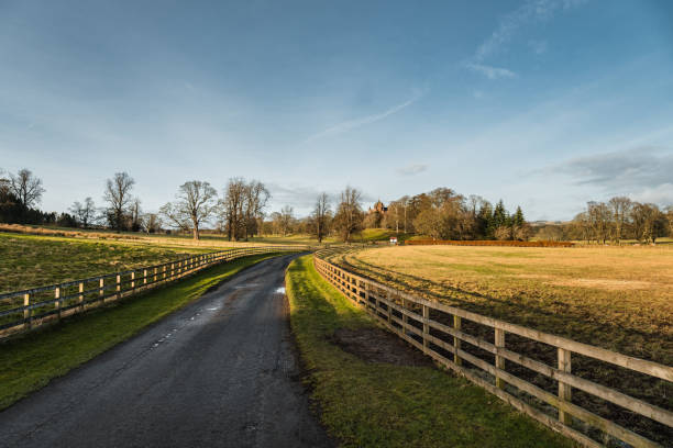 istock countryside road in scotland 1200902497