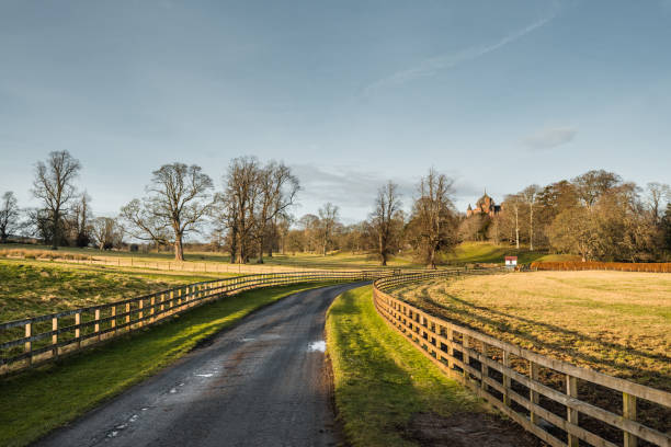 countryside road in scotland