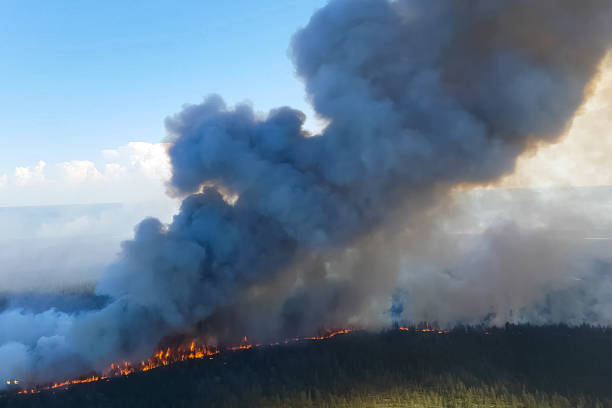 Fires in Russian forest, Transbaikal forest in fire, burning of Fires in the Russian forest, Transbaikal forest in fire, burning of forests krasnoyarsk krai photos stock pictures, royalty-free photos & images