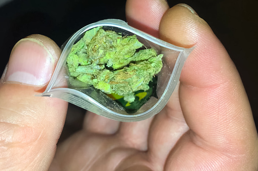 Bolsa De Marihuana En Manos De Un Hombre Larbo Dosis De Marijua Foto de  stock y más banco de imágenes de Adicción - iStock