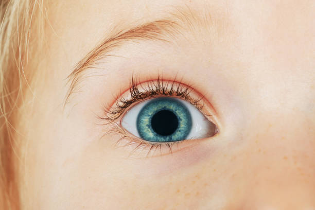 istock a eyes four year old girl 1200906705