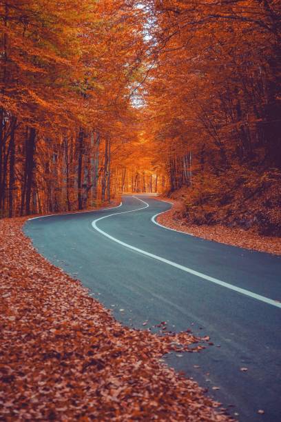 istock A winding road curves through autumn trees 1200907014
