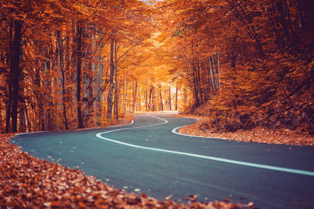 une route sinueuse courbe à travers des arbres d'automne - winding road photos et images de collection