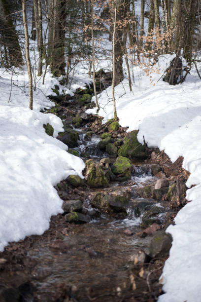 istock Small creek flows through snowdrifts. Winter forest landscape. 1200908114