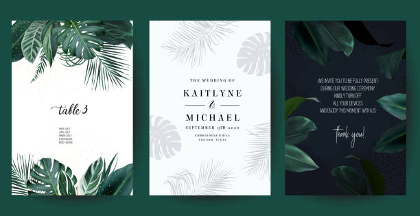 Tropical frames arranged from exotic emerald leaves. Design vector. Paradise plants, greenery and palm cards. Stylish fashion banners. Wedding templates. All leaves are not cut. Isolated and editable