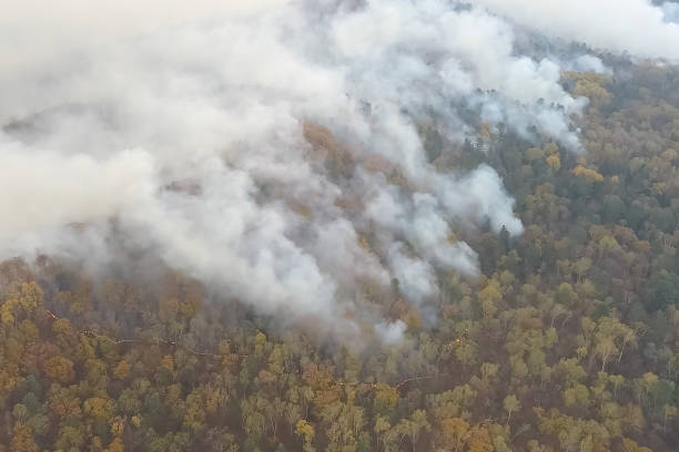 Fires in Russian forest, Transbaikal forest in fire, burning of Fires in the Russian forest, Transbaikal forest in fire, burning of forests krasnoyarsk photos stock pictures, royalty-free photos & images