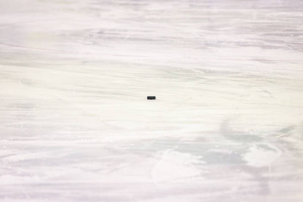 istock Black ice hockey rubber puck located on ice rink. 1200912088