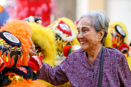 A closer scene on Filipino Chinese senior woman feeling cheerful surrounded by amazing multi-coloured 18 lion dance display in Melaka, Malaysia.