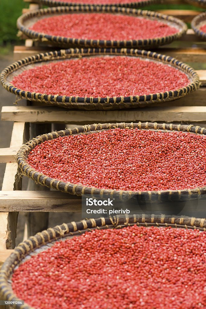 Pimienta rosa - Foto de stock de Grano de pimienta rosa libre de derechos