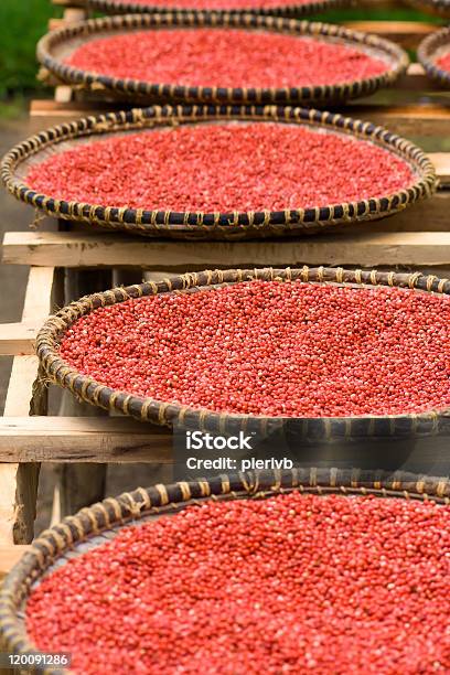 Pimienta Rosa Foto de stock y más banco de imágenes de Grano de pimienta rosa - Grano de pimienta rosa, Acebo, Alimento