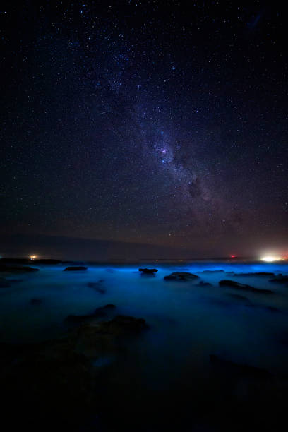 Ocean glowing brilliant blue with biioluminescent algae