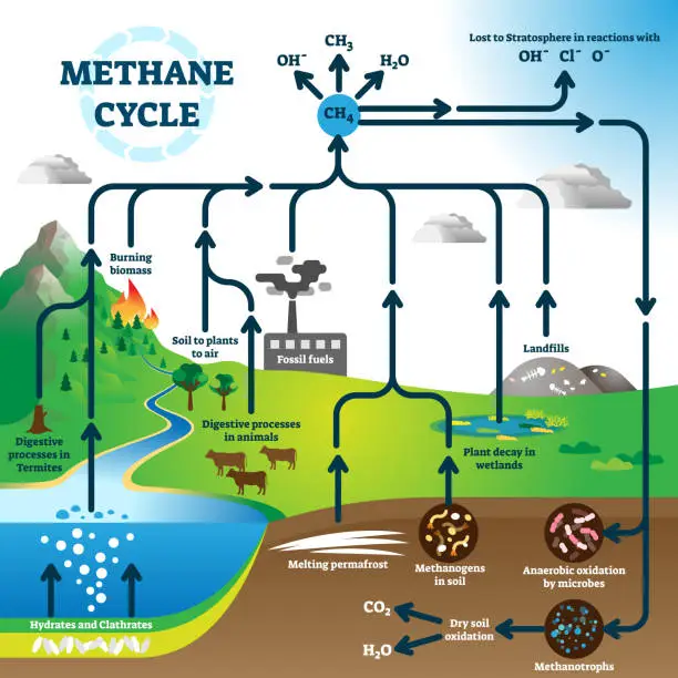 Vector illustration of Methane cycle diagram, global pollution process vector illustration scheme