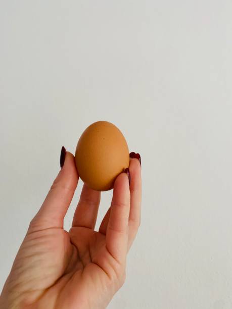 istock Fresh brown egg on the female hand isolated on white background 1200919123
