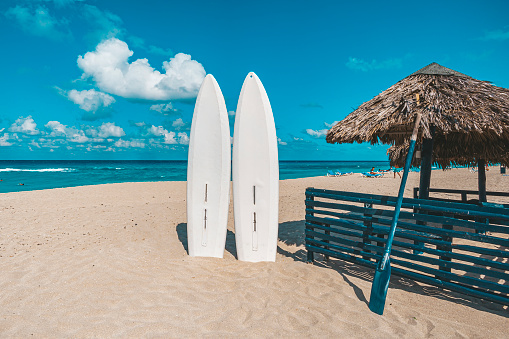 Stand up paddle long boards surfboard stuck in the sand on Beach. standup paddleboarding are at sea. Tourist attractions in Varadero.