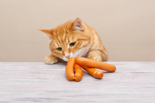istock Red cat steals sausages 1200922317