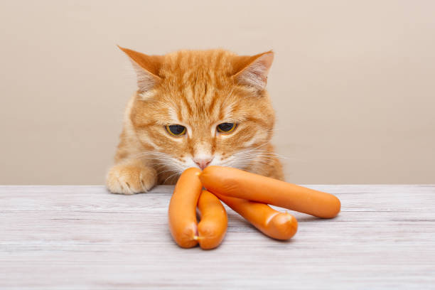 istock Red cat steals sausages 1200922388