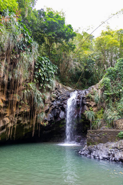 istock Grenada, West Indies - Annandale waterfall 1200922593