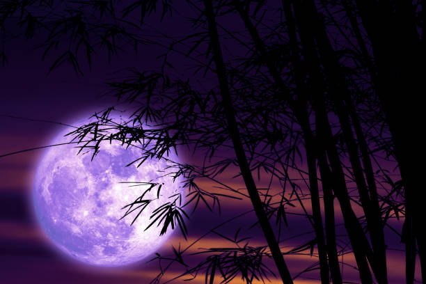 istock super Full Hunger Moon on night sky back silhouette tree and cloud 1200927118