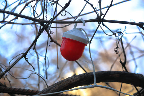 Bright red light bulb on a white street wire in the daytime