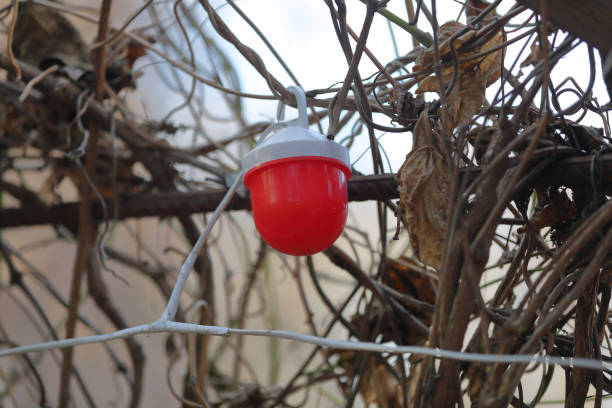 istock Colored street lamp without lampshade on a wire 1200929048