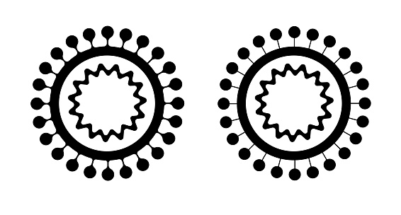 Coronavirus graphic image. The scheme of the structure. Vector illustration