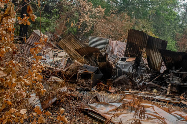 istock Australian bushfire aftermath: Burnt building ruins and rubble at Blue Mountains, Australia 1200932536