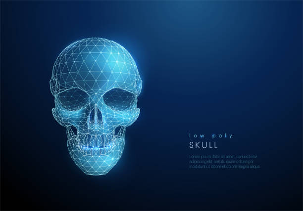 抽象的な人間の頭蓋骨。低いポリスタイルの設計 - 人間の頭蓋骨点のイラスト素材／クリップアート素材／マンガ素材／アイコン素材